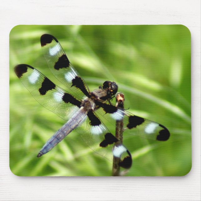Dragonfly Mousepad (Front)