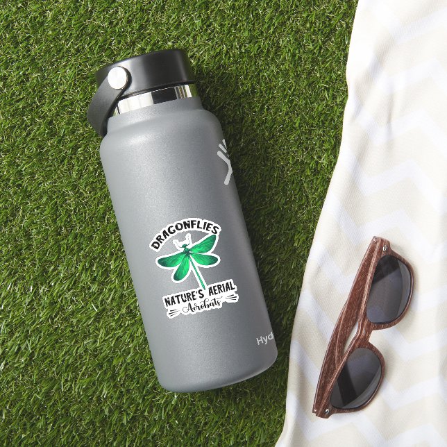 Dragonfly Nature Insect Nature's Aerial Acrobat Dr (HydroFlask Insitu)