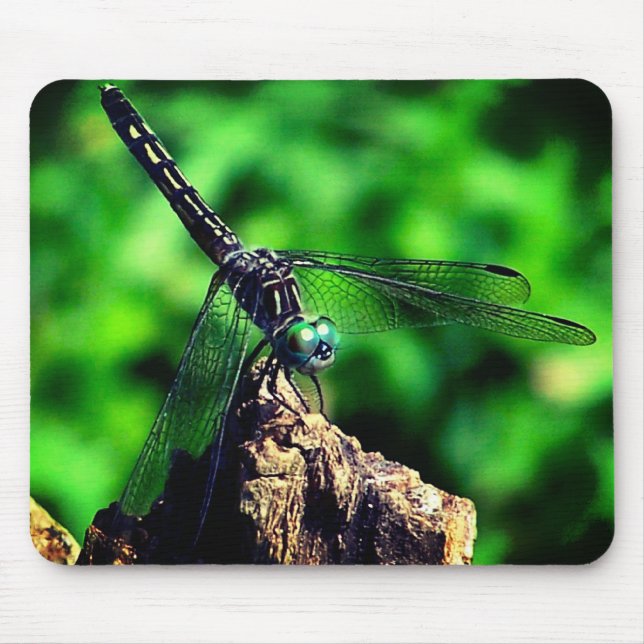 Dragonfly Nature  Mouse Pad (Front)