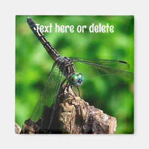 Dragonfly Nature Personalized Magnet