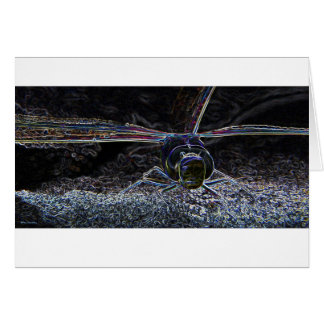 Dragonfly neon 2