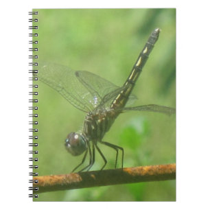 Dragonfly Notebook