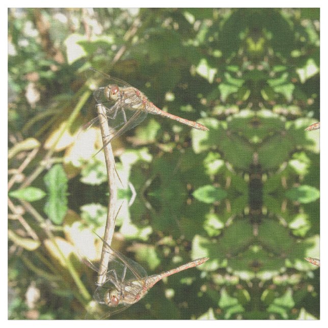 Dragonfly on a Twig Animal Craft Fabric (Close Up)