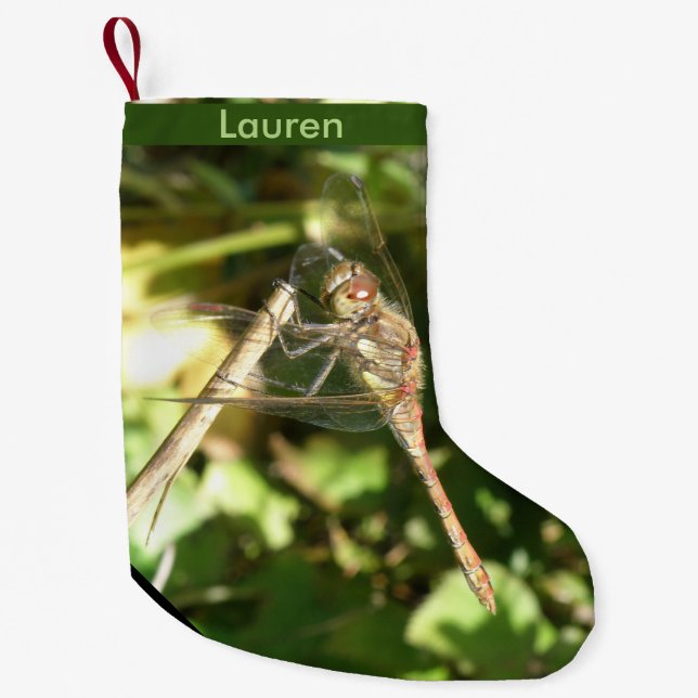 Dragonfly on a Twig Custom Christmas Stocking (Front)