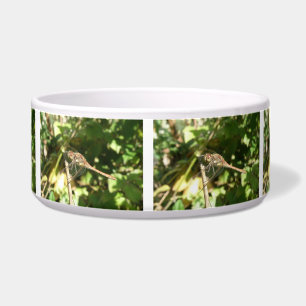 Dragonfly on a Twig Dog Bowl