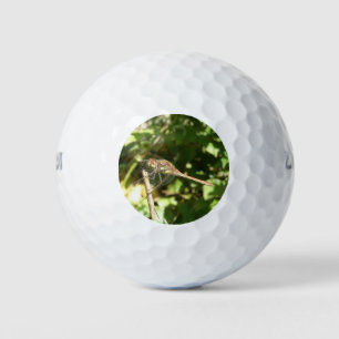 Dragonfly on a Twig Golf Ball