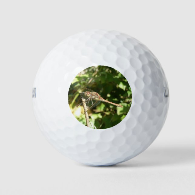 Dragonfly on a Twig Golf Ball (Front)