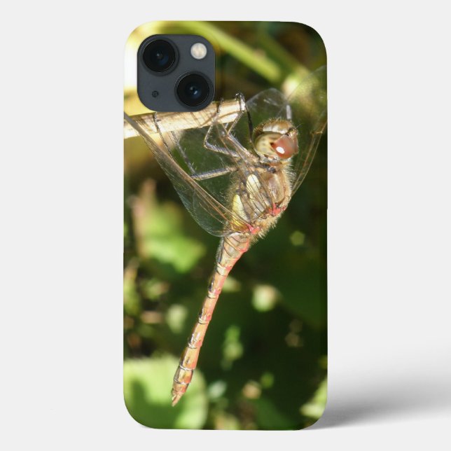 Dragonfly on a Twig iPad Case (Back)