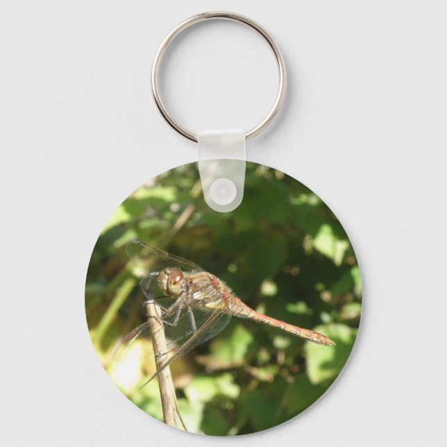 Dragonfly on a Twig Keychain (Front)