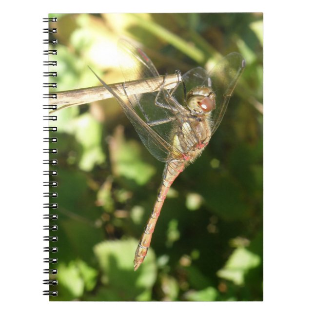 Dragonfly on a Twig Notebook (Front)