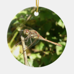 Dragonfly on a Twig Ornament