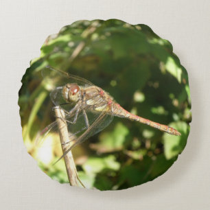 Dragonfly on a Twig Pillow