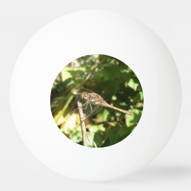 Dragonfly on a Twig Ping Pong Ball (Front)
