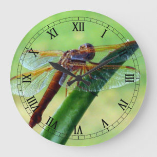 Dragonfly on Aloe Macro Wall Clock
