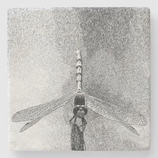 Dragonfly on Branch Stone Coaster