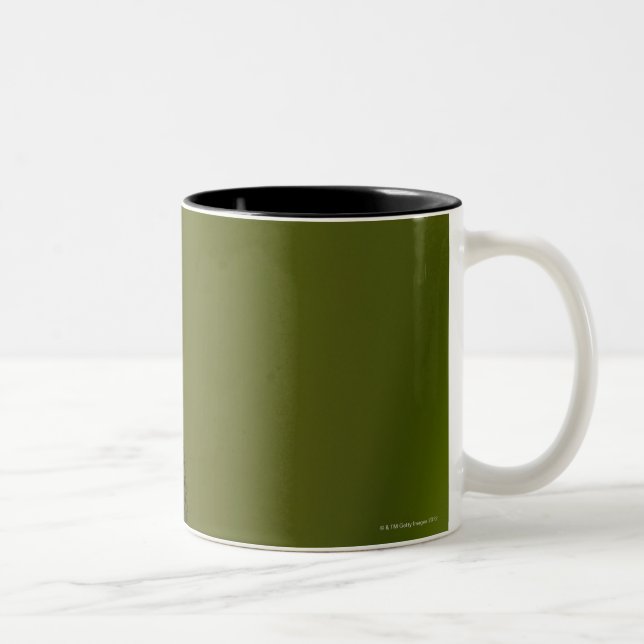 Dragonfly on budded iris Two-Tone coffee mug (Right)