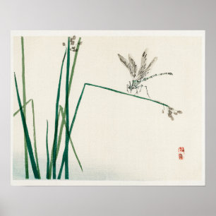 Dragonfly on Bulrush leaf by Kōno Bairei (1844-189 Poster