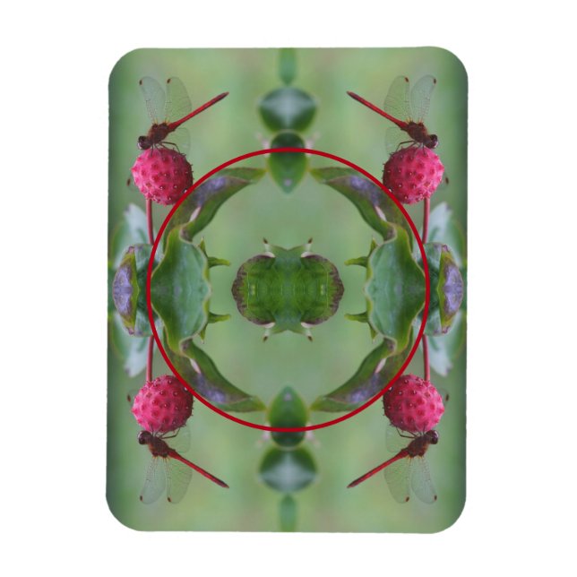 Dragonfly On Dogwood Fruit Create Your Own Photo Magnet (Vertical)