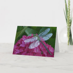Dragonfly On Pink Flowers Card