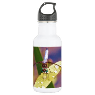 Dragonfly on raindrop leaf 532 ml water bottle