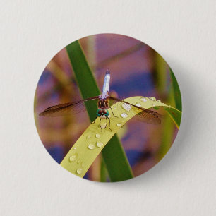 Dragonfly on raindrop leaf 6 cm round badge