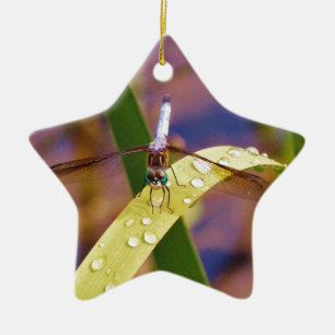 Dragonfly on raindrop leaf ceramic tree decoration