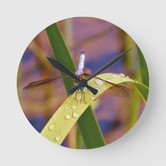 Dragonfly on raindrop leaf round clock