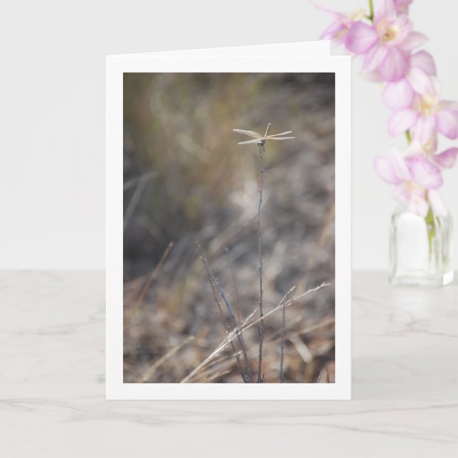 Dragonfly on Stalk Portrait Card (Orchid)