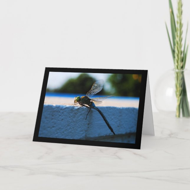 Dragonfly on the Ledge Card (Front)