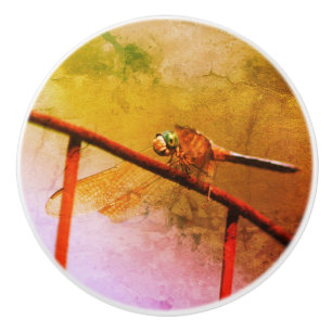 Dragonfly On Wire Fence Abstract Grunge Ceramic Knob