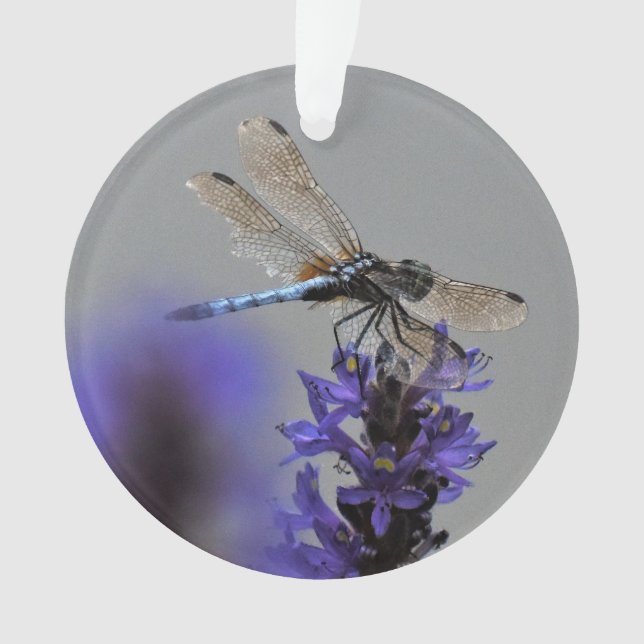 Dragonfly Ornament (Front)