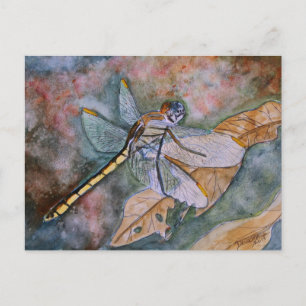 dragonfly painting postcard