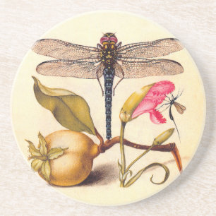 Dragonfly, Pear, Carnation, and Insect Coaster