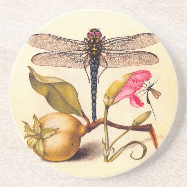 Dragonfly, Pear, Carnation, and Insect Coaster (Front)