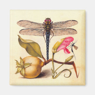 Dragonfly, Pear, Carnation, and Insect Magnet