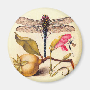 Dragonfly, Pear, Carnation, and Insect Magnet