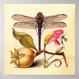 Dragonfly, Pear, Carnation, and Insect Poster