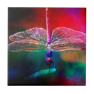 DRAGONFLY PINK DELIGHT.jpg Tile