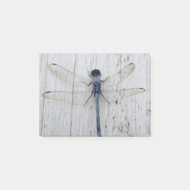 Dragonfly Post-it Notes (Front)