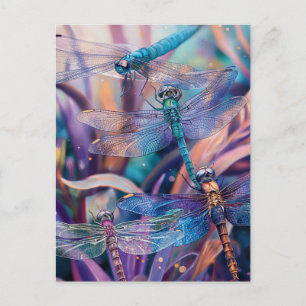 Dragonfly Postcard
