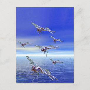 Dragonfly Postcard