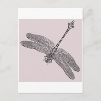 Dragonfly Postcard