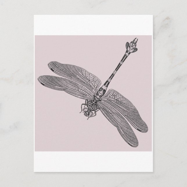 Dragonfly Postcard (Front)