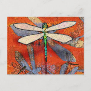 Dragonfly Postcard