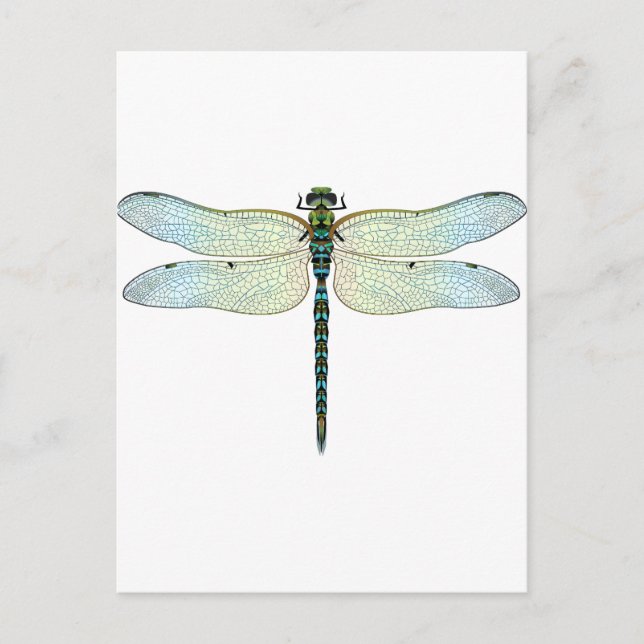DragonFly Postcard (Front)