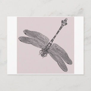 Dragonfly Postcard