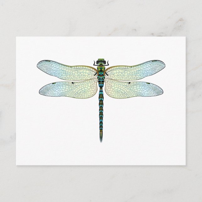 DragonFly Postcard (Front)