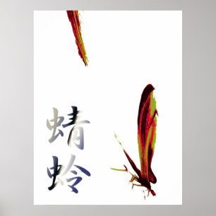 Dragonfly Poster