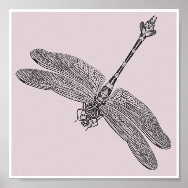 Dragonfly Poster (Front)