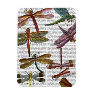 Dragonfly Print 3 Magnet
